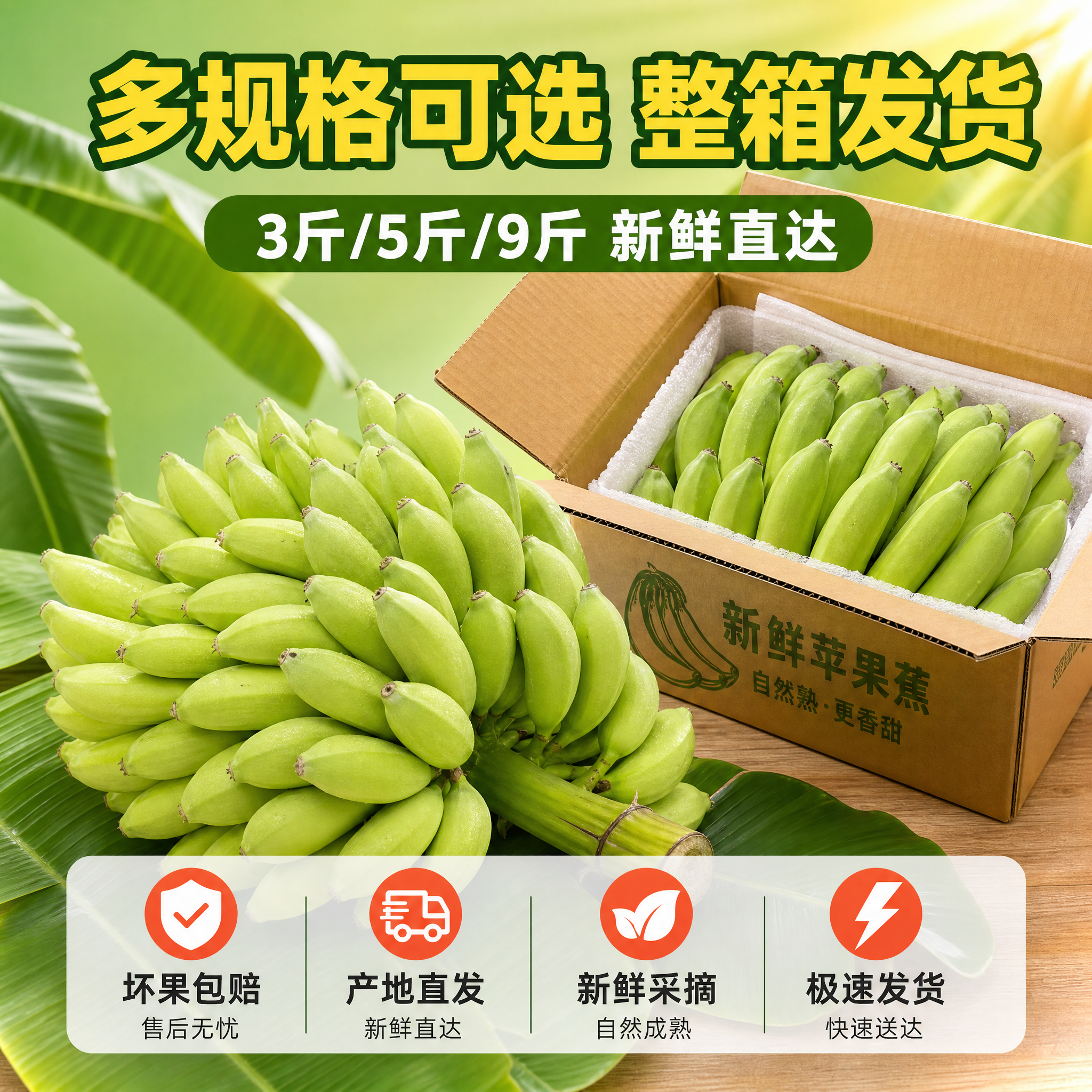 [主图-5] 苹果蕉规格与服务承诺图，打消顾虑促进下单。 [统… - 图片创意预览