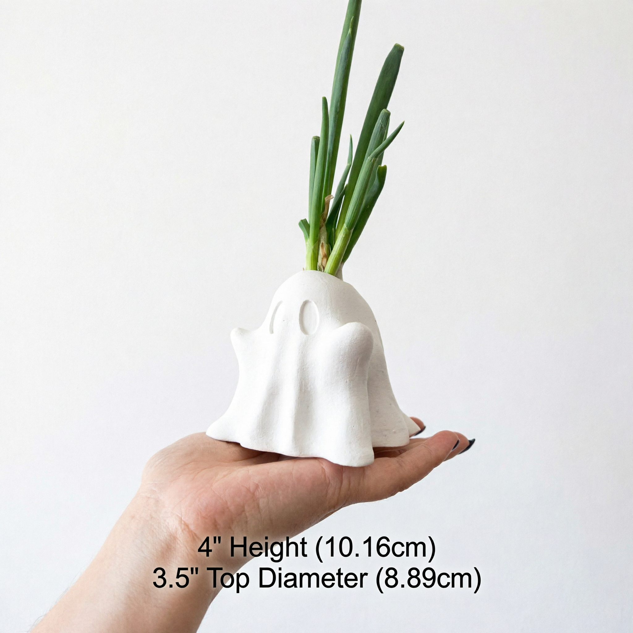 [Main Image 4] Size comparison… - 图片创意预览