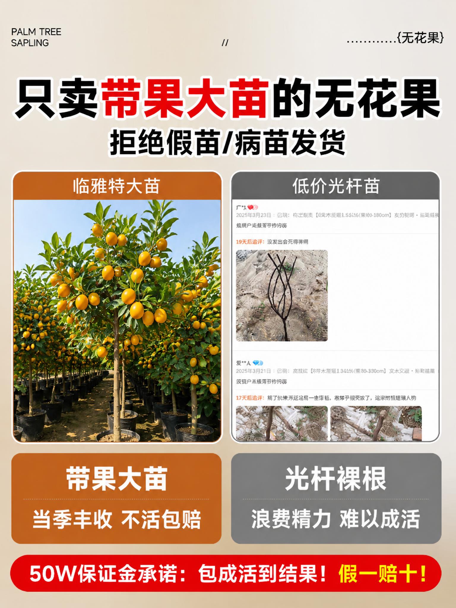 将图中左侧临雅特大苗区域里的无花果树连同无花果树叶，替换为脆皮… - 图片创意预览