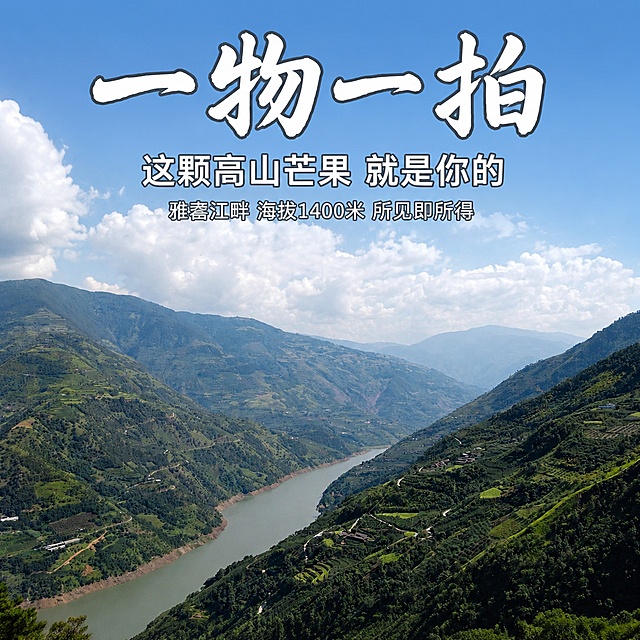 电商主图设计，农家真实风。画面是雅砻江高山峡谷江景全景，蓝天白云，江水蜿蜒穿过青山之间，两岸是高山芒果种植园的山地风景，阳光明媚的白天。画面上方叠加文字：大标题"一物一拍"用手写粗体大字白色带深色描边，放在画面上方居中；副标题"这颗高山芒果 就是你的"用稍小字体放在大标题下方；小字"雅砻江畔 海拔1400米 所见即所得"用更小的字体放在副标题下方。文字全部放在画面上方天空区域的负空间，不遮挡山体和江面。整体风格朴实自然，风景图保持原始风景照片的真实感，不做过多修饰。1:1正方形构图，文字清晰可读。超高清质感。