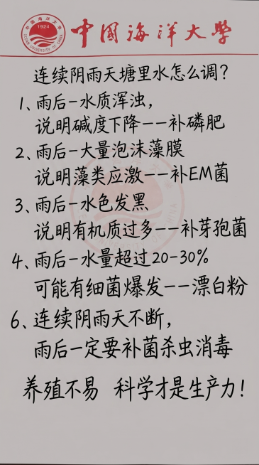 参照原图片的信纸版式和红色校徽logo，保留中国海洋大学红色标题，将手写文字替换为以下新内容，一字不差，保留黑色手写字体风格，排版布局合理：
连续阴雨天塘里水怎么调?
1、雨后-水质浑浊，
说明碱度下预览效果