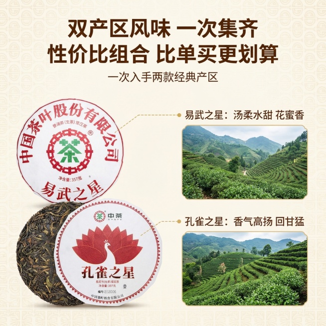 [垫图]输入图
[主图主题]中茶生普双子星组合双饼卖点图
[氛围/风格]大气写实风格，明亮自然光，突出双饼优势
[画面元素]双饼并列摆放在画面左侧，右侧分栏展示易武茶山和布朗山茶园实景，用纤细金色虚线预览效果