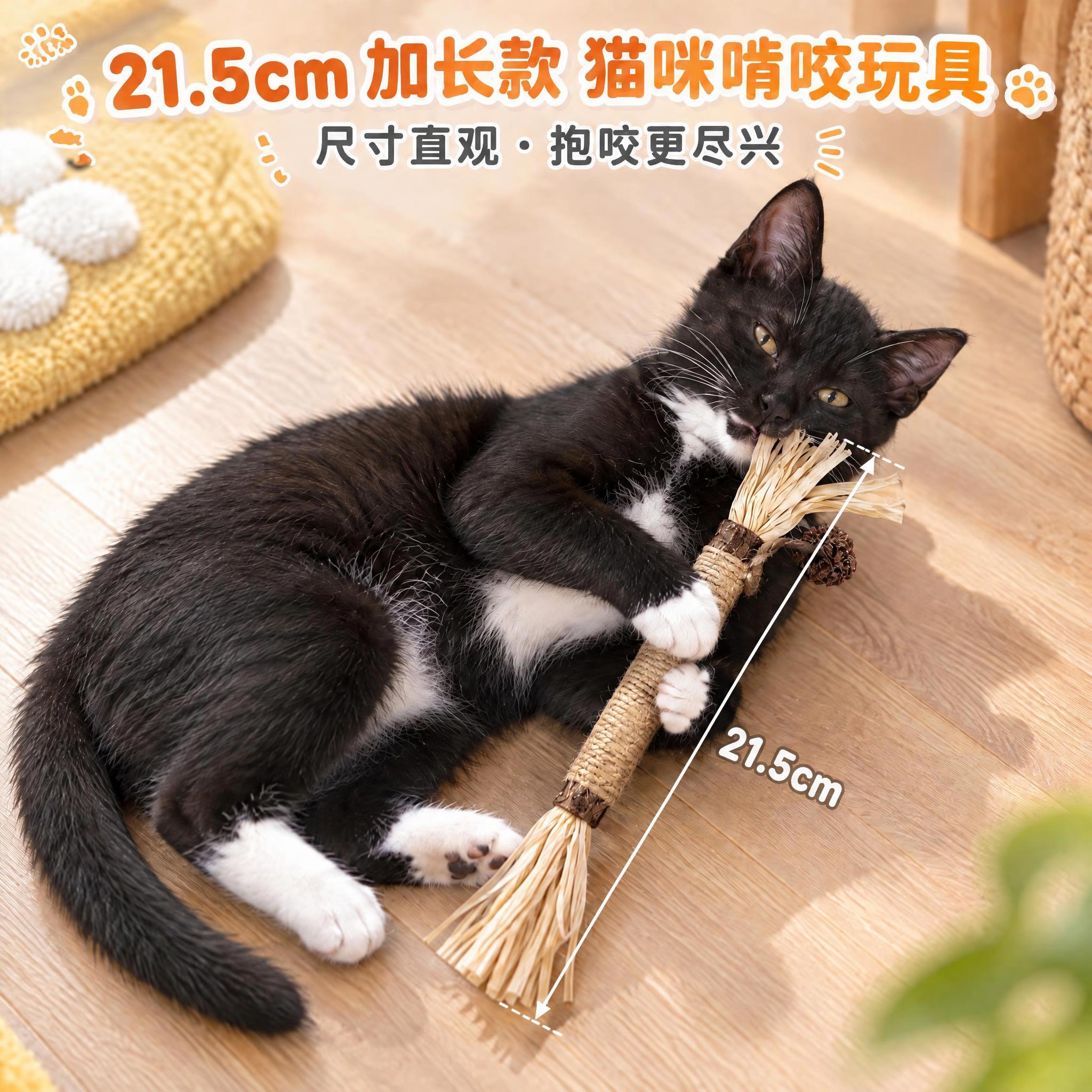 保持画面中猫咪、产品、背景、顶部标题文字完全不变。仅修改尺寸标… - 图片创意预览