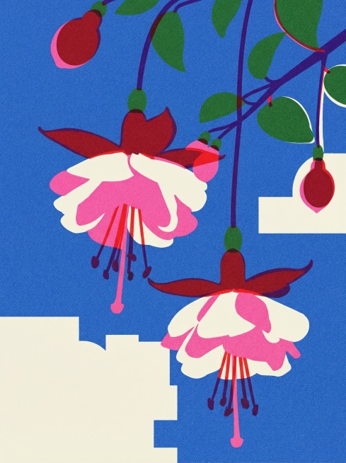 将图中的倒挂金钟花卉转换为现代极简几何扁平风，融合包豪斯主义理性线条与risograph印刷质感，图形高度概括无多余细节，强调色彩与形状的构成关系，带有复古印刷的颗粒肌理预览效果