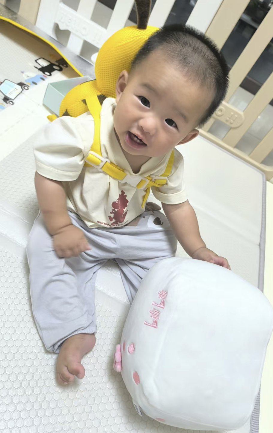 模板预览图