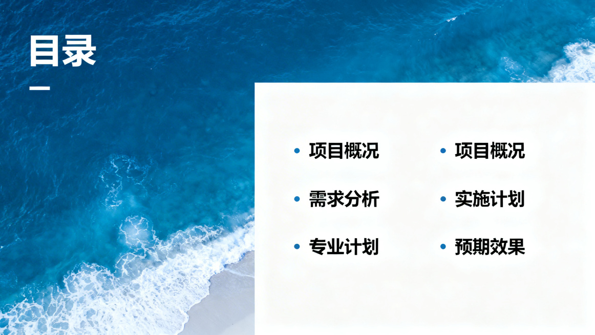 第2页PPT目录页，极简专业风格，标题"目录"，内容为项目概况、需求分析、实施计划、预期效果，蓝白海洋风设计，排版简洁清晰预览效果