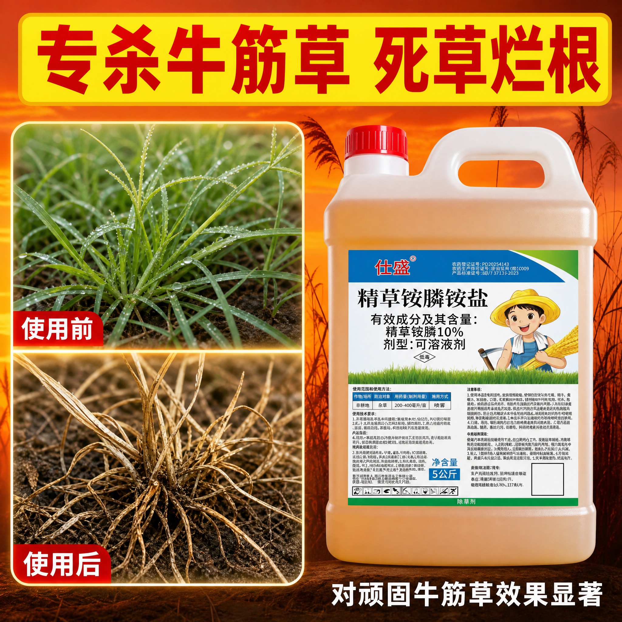 [主图-2] 牛筋草特效展示，突出对牛筋草的防除效果。 [统一… - 图片创意预览