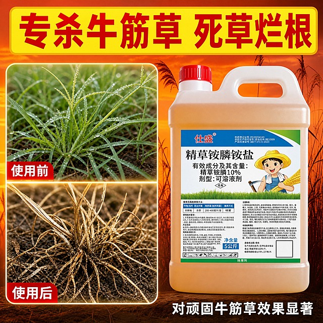 [主图-2] 牛筋草特效展示，突出对牛筋草的防除效果。
[统一基调] 京东品质稳重风，简洁清晰，文字占比<30%，一图一重点；主色橙红+金黄，背景黄昏芦苇场景，标题黄底红字，辅助字白色。
[画面] 左右分栏。左侧为牛筋草特写大图：上半部分青绿健壮的牛筋草，下半部分枯黄枯死的牛筋草根系，中间有分界线。右侧产品壶体占画面约35%，正面展示。
[光影质感] 牛筋草为真实植物特写，细节清晰，产品为影棚柔光质感，整体暖色调统一。
[配色] 背景橙红渐变，植物真实色，标题金黄色，文字白色。
[文字版式] 顶部大标题"专杀牛筋草 死草烂根"，左侧对比图上下标注"使用前""使用后"，产品下方小字"对顽固牛筋草效果显著"，文字清晰。
[输出要求] 1:1正方形，2048x2048，对比真实，产品清晰，文字可读，无水印无平台Logo。