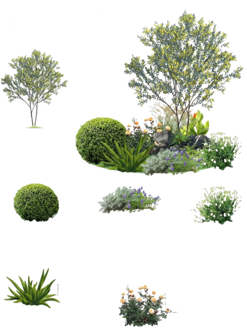 去除所有文字预览效果