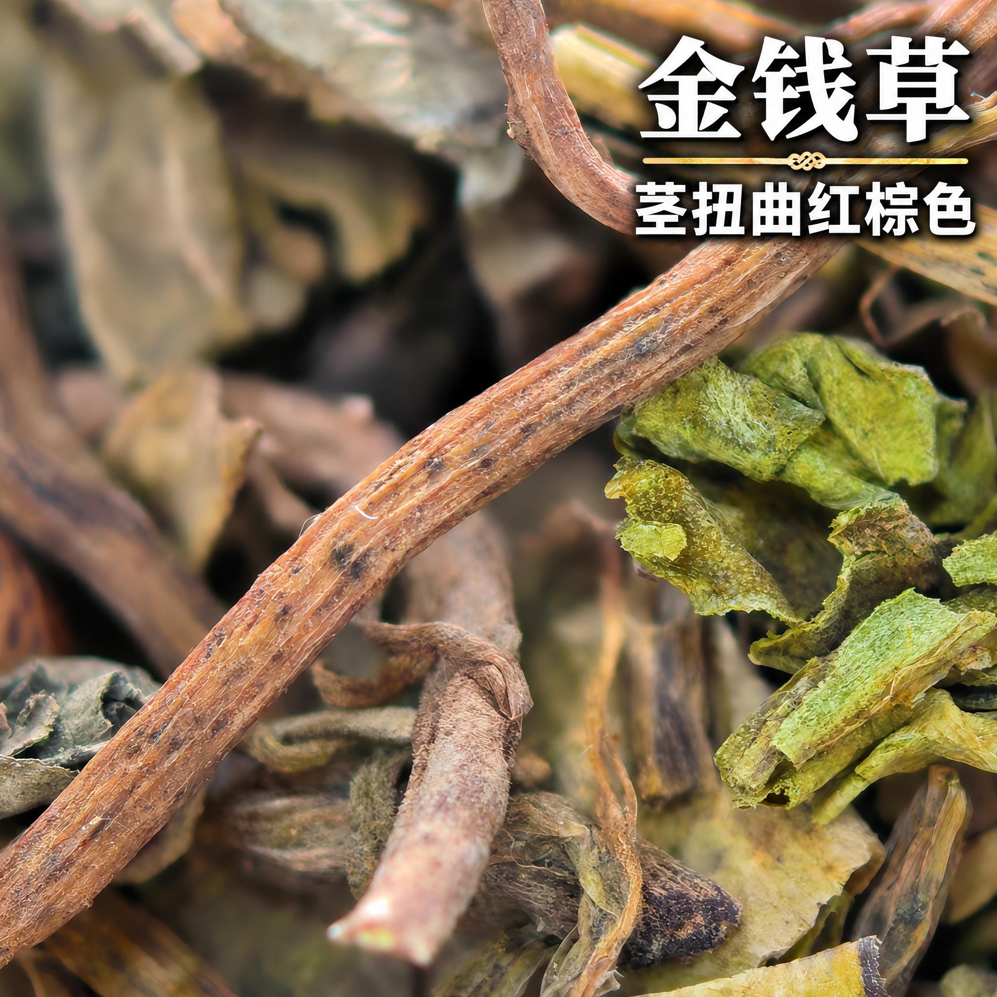 以上传的金钱草素材为基底制作中药材电商主图。严格保留原画面：画… - 图片创意预览