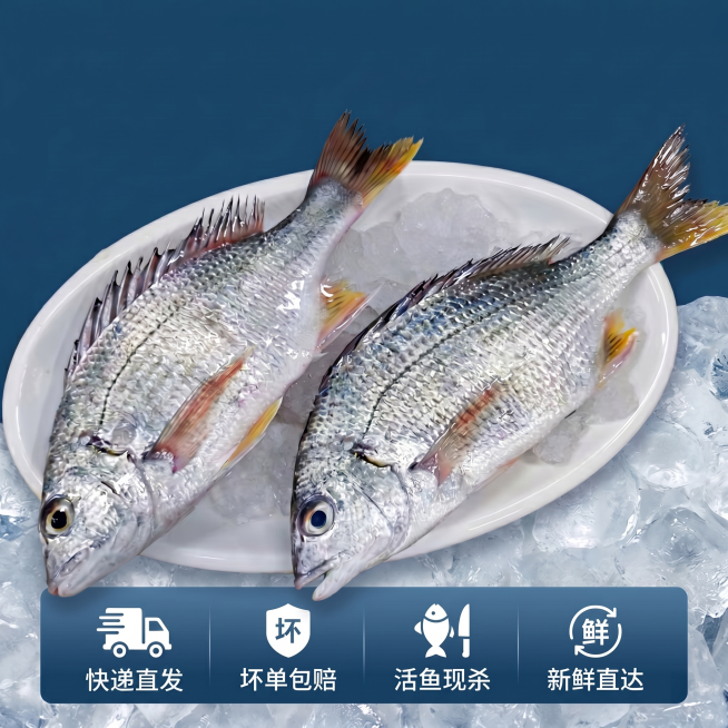 预览效果