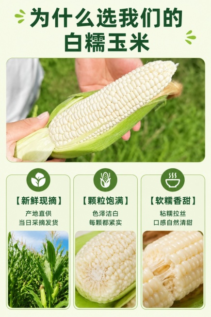 [第5屏] 卖点拆解屏-白糯玉米三大核心优势展示。本屏使用【图1】作为商品辅助展示。
[氛围/风格] 清晰信息风，排版干净，卖点突出，符合拼多多高信息密度风格。
[元素布局] 顶部放置整根带叶白糯玉米预览效果