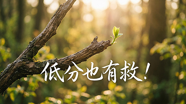 唯美摄影风格，一截看似干枯的树枝，枝头突然冒出了一颗嫩绿的新芽，背景是温暖的阳光，画面正中悬浮着白色的手写体大字：“低分也有救！”