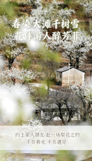 [主图 10] 行程寄语转化
[氛围/风格] 浪漫文艺氛围，春日柔和光影
[画面元素] 保留原图梨花古村全景，前景虚化前景增加纵深感，整体画面干净治愈，无边框满铺
[配色色系] 保持原图春日自然配色，预览效果