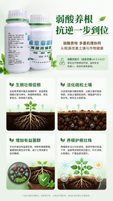 [第4屏] 功效原理解析屏，讲解弱酸质地养根抗逆的作用机理。本屏使用产品细节图【图2】辅助展示。
[氛围/风格] 专业科普风格，清晰直观，可信可靠。
[元素布局] 上半部分标题，下半部分分四个原理信息预览效果