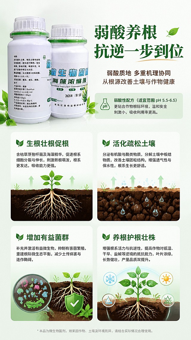 [第4屏] 功效原理解析屏，讲解弱酸质地养根抗逆的作用机理。本屏使用产品细节图【图2】辅助展示。
[氛围/风格] 专业科普风格，清晰直观，可信可靠。
[元素布局] 上半部分标题，下半部分分四个原理信息点，每个信息点配图标和说明，左上角放产品图，保持产品文字信息和包装外观与原图一致。
[光影质感] 均匀柔和光线，每个信息点清晰分隔，没有重影模糊。
[配色色系] 全局底色 #F5F9F6，主色绿色，辅助色浅棕。
[视角构图] 上产品下信息排版，信息点四宫格排列，整洁清晰。
[文字版式] 顶部主标题「弱酸养根 抗逆一步到位」，四个核心功效：「生根壮根促根」「活化疏松土壤」「增加有益菌群」「养根护根壮株」，每个功效配绿叶图标，文字大小适中，手机阅读清晰。
[比例分辨率] 9:16竖版比例，4K分辨率，文字清晰可辨，高清画质。
[负向提示词] 产品变形，文字错乱，功效夸大，极限用词，水印。