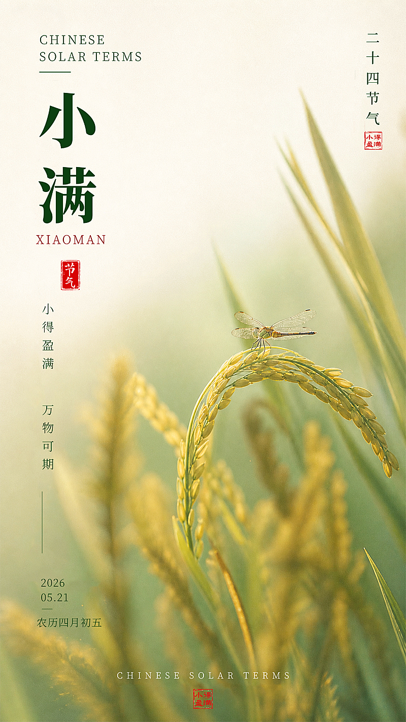 小满节气营销海报