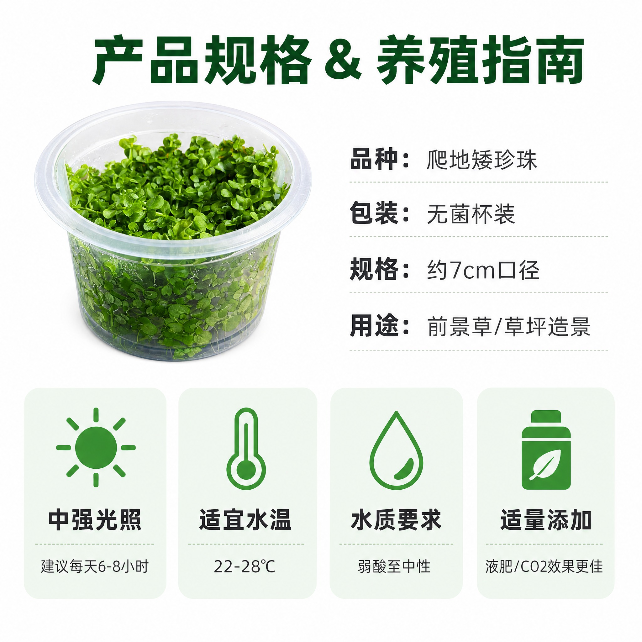 [主图-5] 规格与养殖指南信息图，展示产品规格参数和基础养护… - 图片创意预览
