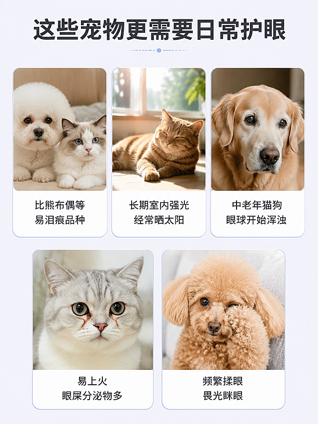 模块 1：首屏主海报（头图）
配图：清晰猫狗明亮双眼 + 产品片剂实拍
文案（大字主标题 + 小字副标题）
主标题：蓝莓叶黄素双效护眼片
副标题：淡化泪痕｜舒缓红眼｜延缓眼部老化
底部小字：全龄猫狗通用 日常眼部食补
模块 2：痛点对比板块
配图：左右对比图（问题眼 vs 健康透亮眼）
左侧【宠物眼部烦恼】短句
眼角泪痕发黑发黄
眼白发红、眼屎增多
频繁眯眼、迎风流泪
老年眼浑浊、夜里视物模糊
右侧【一片改善】
叶黄素 + 蓝莓花青素，根源养护眼底
模块 3：核心两大护眼成分（双栏图文）
左栏｜叶黄素酯
配图：叶黄素原料萃取图
短句卖点：
呵护视网膜
缓解强光刺激
改善眼球浑浊
右栏｜浓缩蓝莓花青素
配图：新鲜蓝莓萃取
短句卖点：
清除眼部自由基
减少眼泪氧化沉淀
舒缓眼干发痒
模块 4：复配增效营养（小图标短句排版）
配图：简约营养图标，一行一个
牛磺酸：滋养眼部黏膜
玉米黄质：双重抵御氧化
VA 维生素：舒缓干涩畏光
一句话总结：多维复配，护眼效果加倍
模块 5：5 大产品核心优势（卡片式排版）
配图：每点配简约小图标
高浓缩萃取：营养活性留存高，好吸收
鲜肉风味片剂：猫狗主动爱吃，喂服省心
无多余添加：无激素、无蔗糖、无诱腐剂
全年龄段适配：幼宠 / 成宠 / 老年猫狗均可吃
温和食补：长期饲喂不伤代谢，替代频繁滴眼
模块 6：适用场景板块
配图：居家、老年犬、短鼻猫、晒阳光多宠物场景图
标题：这些宠物更需要日常护眼
比熊、布偶等易泪痕品种
长期室内强光、经常晒太阳
中老年猫狗，眼球开始浑浊
易上火、眼屎分泌物多
频繁揉眼、畏光眯眼
模块 7：喂食指南（清晰表格图文）
配图：产品 + 手投片剂实拍
标题：简单喂食，定量省心
小型宠（5kg 内）：每日 1 片
中型宠（5–15kg）：每日 2 片
大型宠（15kg 以上）：每日 3 片
喂食方式：直接投喂 / 拌粮 / 夹零食
模块 8：底部信任背书 + 收尾 slogan
配图：产品整罐全景 + 质检简约示意
信任短句：人食级原料｜低温萃取工艺｜多宠家庭常备
收尾标语：长期食补养护，守护宠物透亮双眼
设计排版小建议
每页文字控制 3 行内，大字突出卖点，小字做补充
主色选用浅蓝 + 浅紫（贴合蓝莓护眼视觉）
每个模块分割留白充足，不堆砌文字，手机浏览清晰
重点功效加粗放大，添加剂、适用年龄用色块标注突出          请按照以上方案设计出详情图