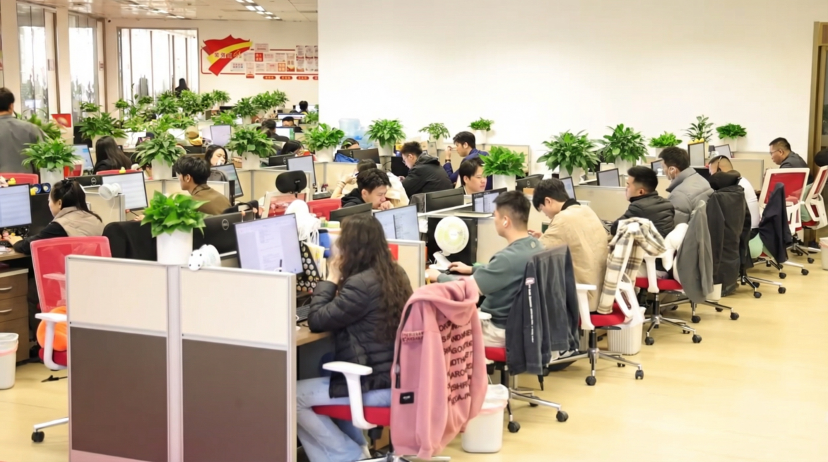 预览效果