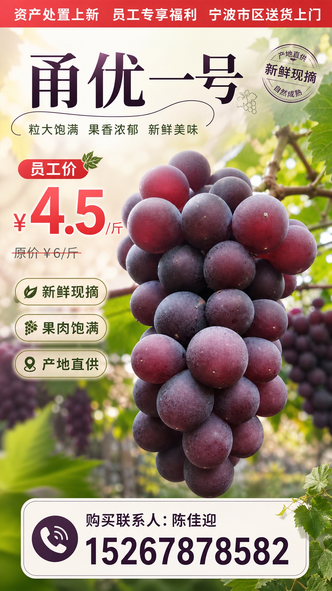 【主体】使用【图1】葡萄，100%还原上传商品图的葡萄外形、紫… - 图片创意预览