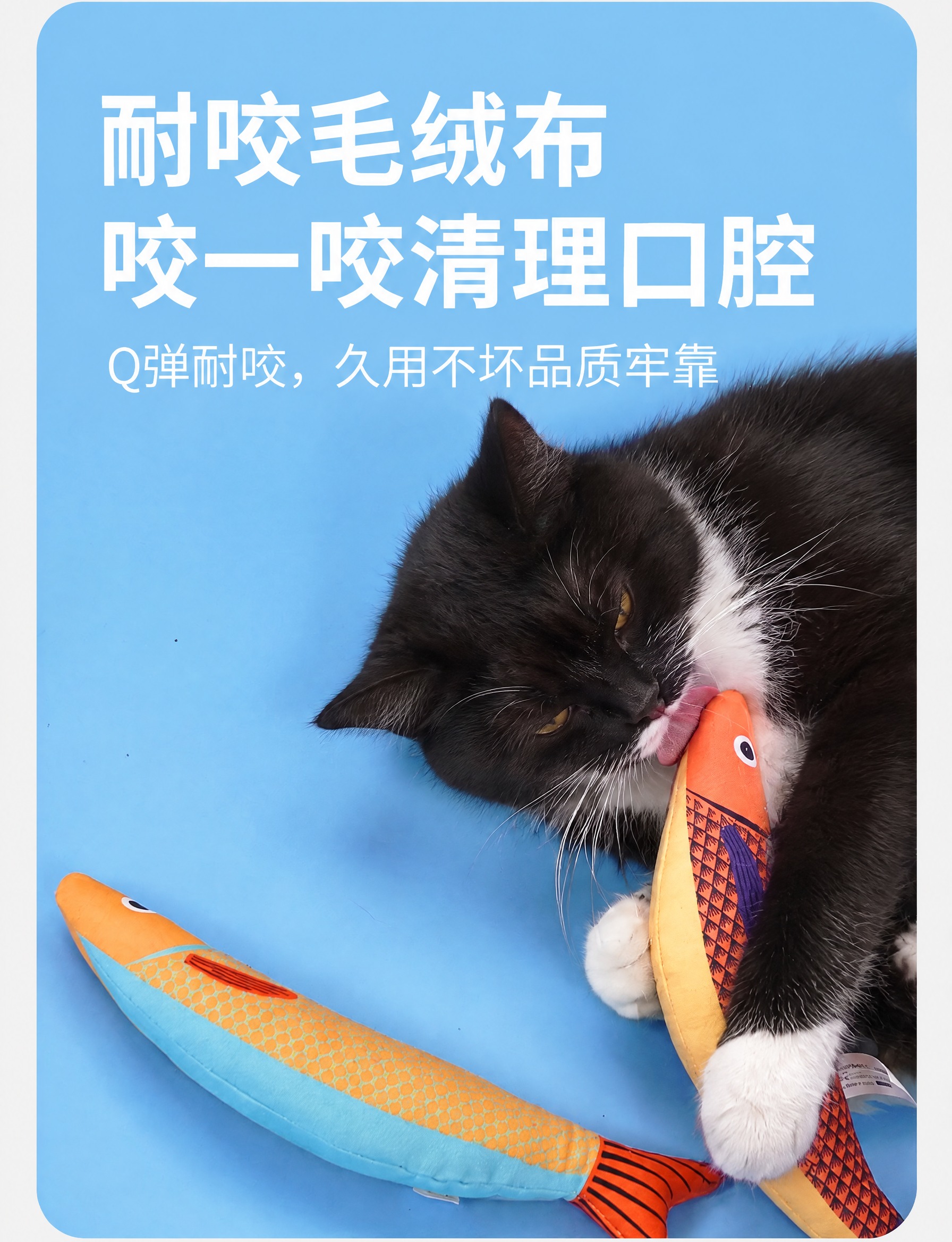 将图中的橘白猫咪替换为黑白奶牛猫gogo（黑色毛发，胸口和四只… - 图片创意预览