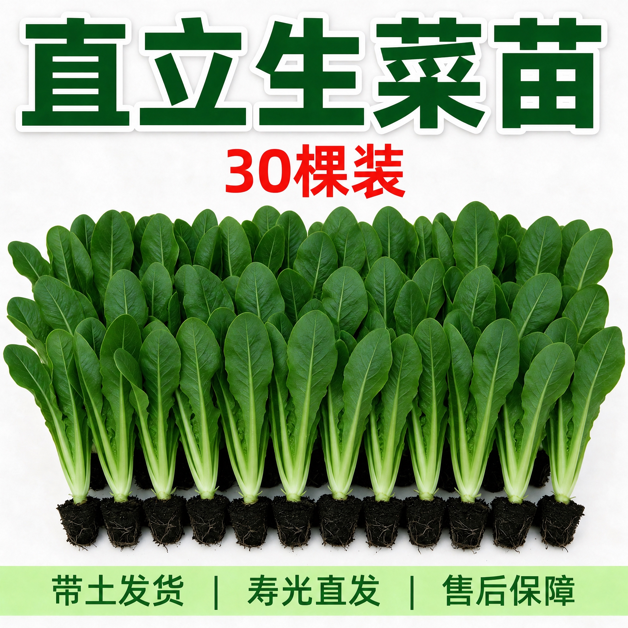 将图片中间的红色文字“50棵装”修改为“30棵装”，保持字体、… - 图片创意预览