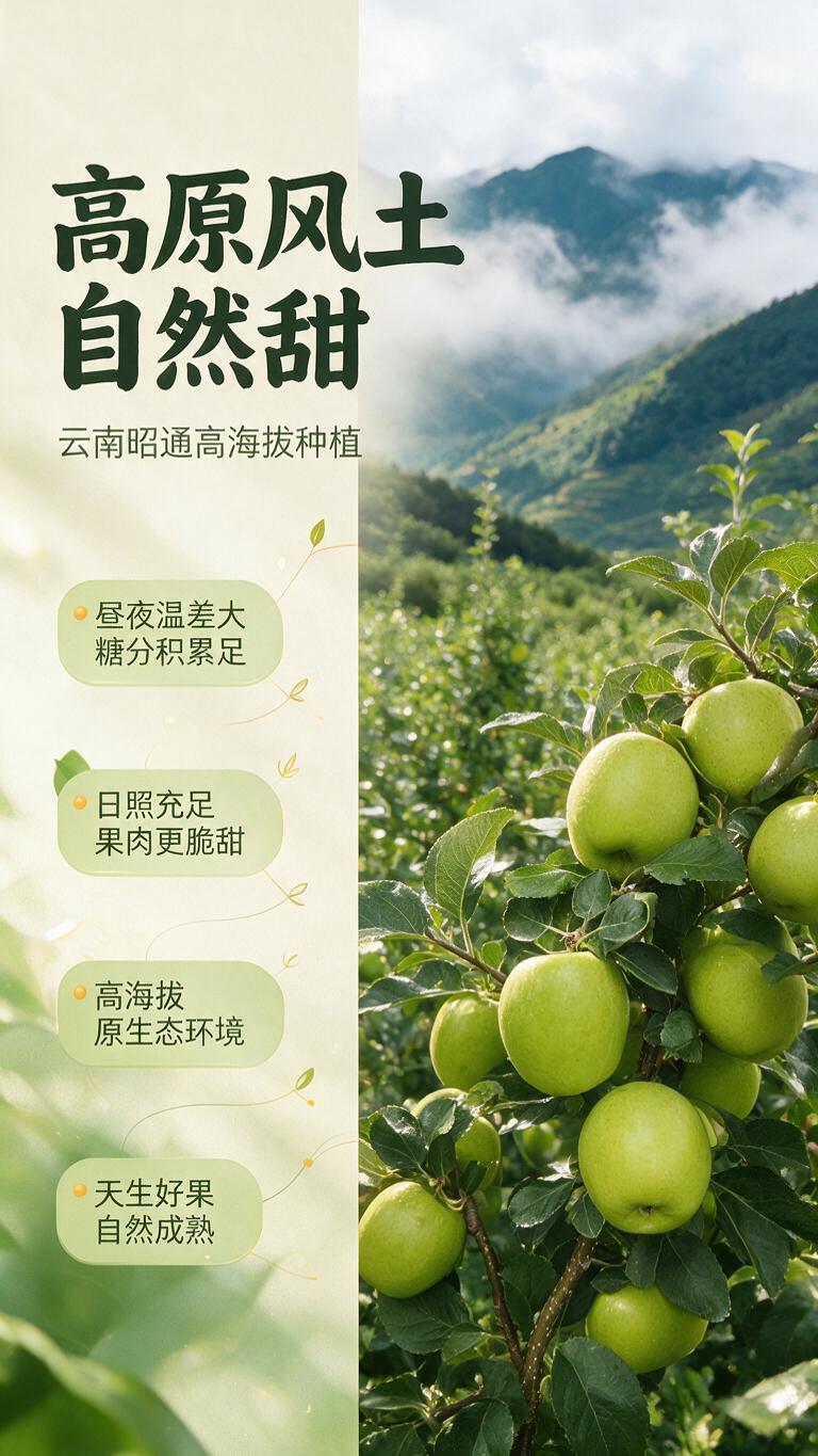 [商品] 使用【图3】满枝青苹果果园图；保留青苹果鲜绿果皮、密… - 图片创意预览