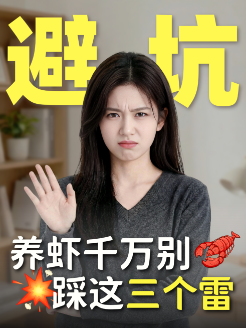 养龙虾攻略openclaw大字爆款小红书封面预览效果