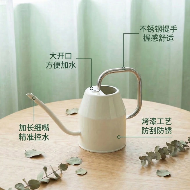 预览效果