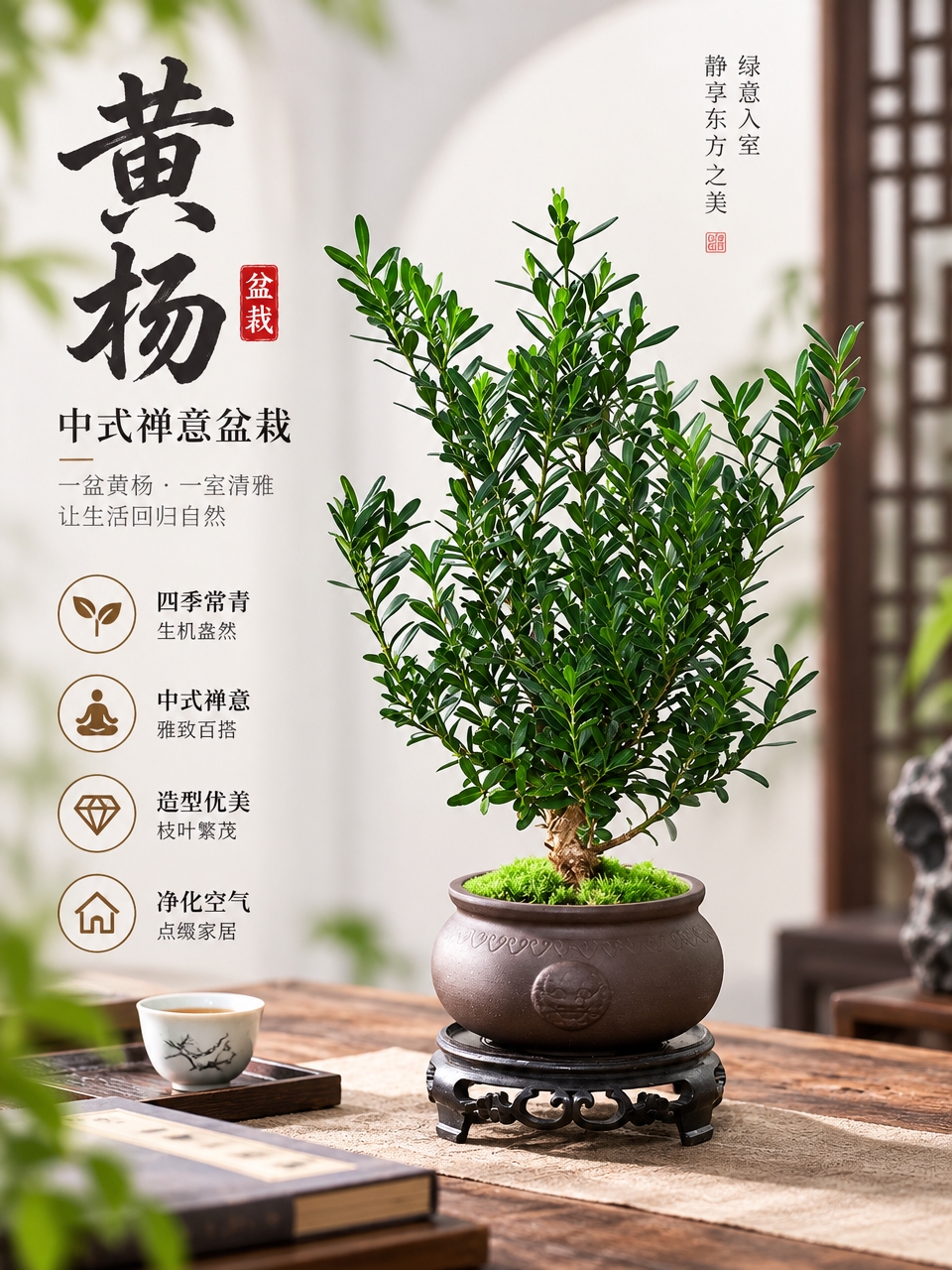 基于这张黄杨盆栽图片，生成淘宝/天猫电商主图，3:4竖版比例。… - 图片创意预览