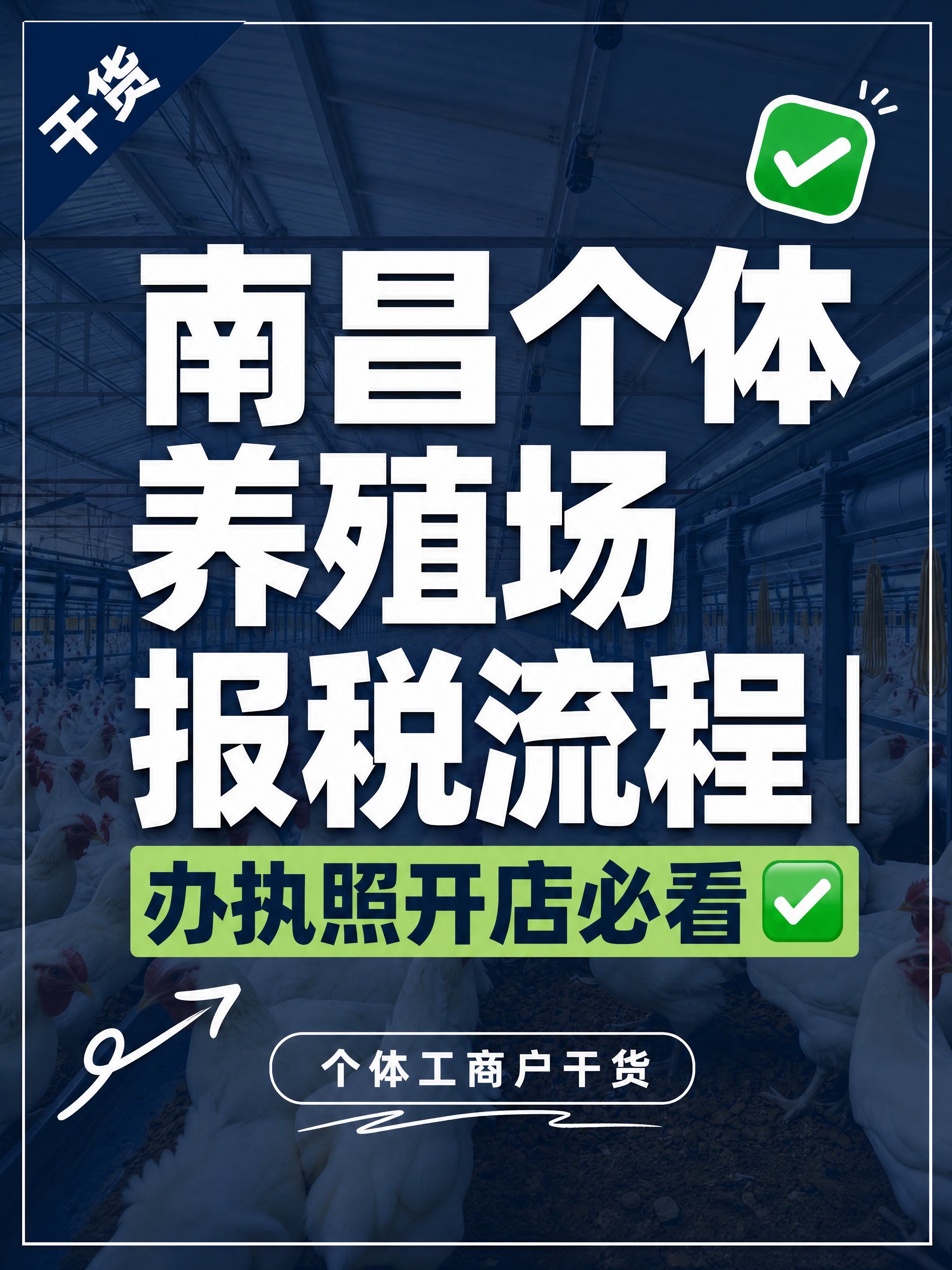 小红书笔记大字封面，配图大字，杂志海报干货风，版式精美，小红书… - 图片创意预览