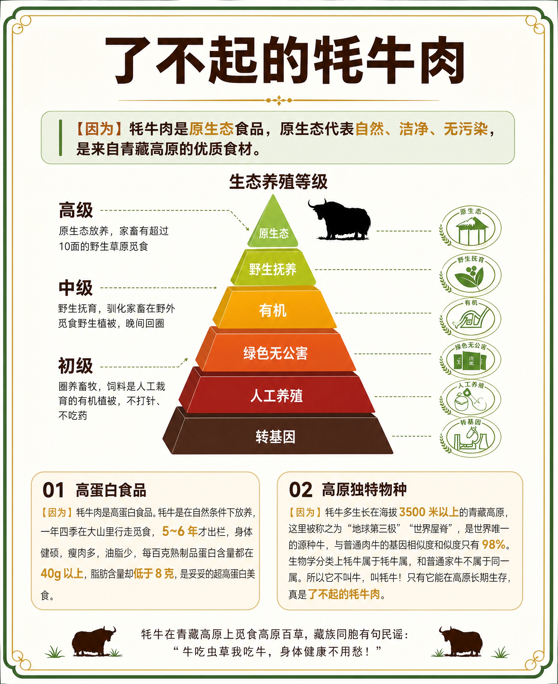 重新设计排版，不改变、不减少任何文字内容，制作一张清晰美观的电… - 图片创意预览