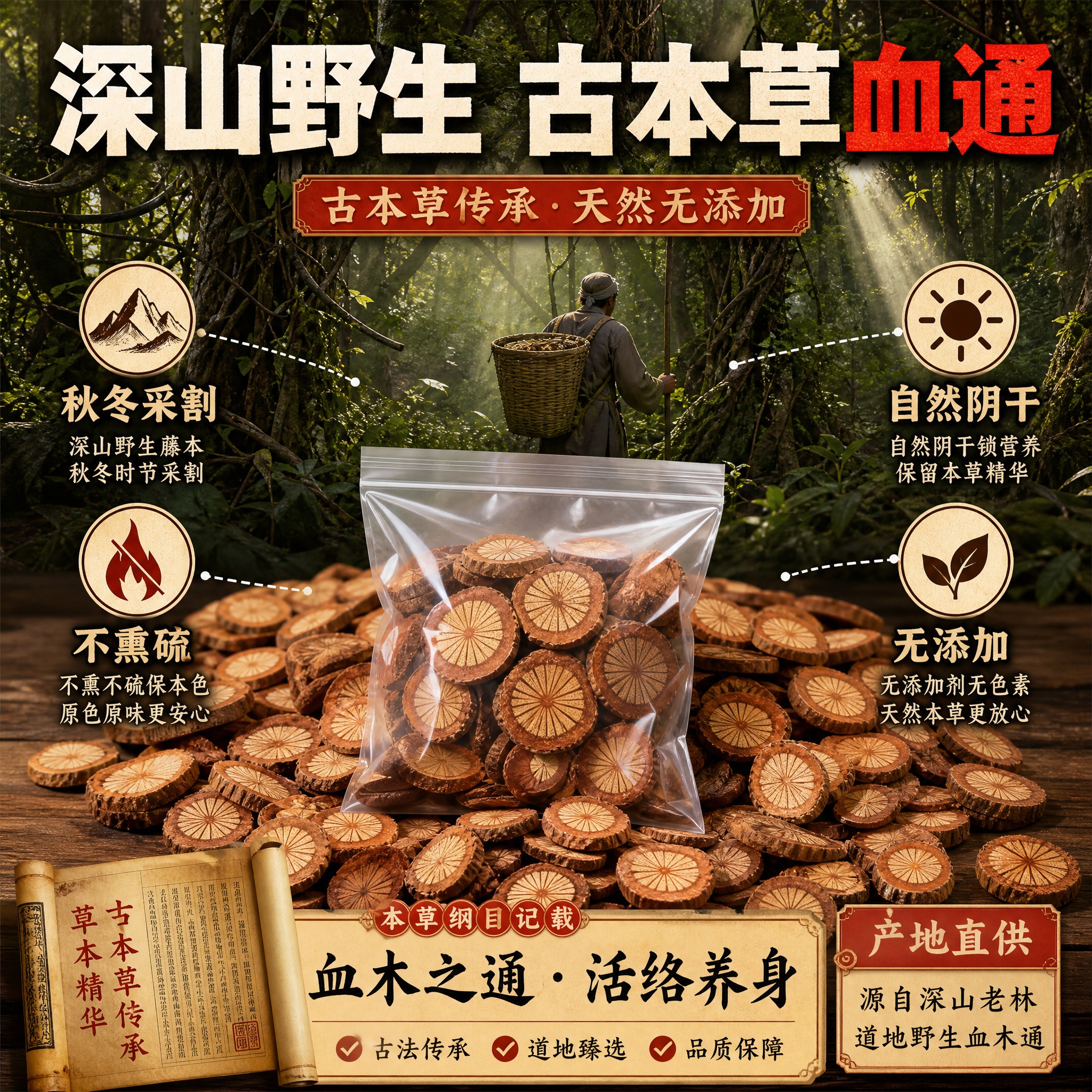 [主图-2] 核心亮点与产地溯源，深山野生血木通，强调古本草传… - 图片创意预览