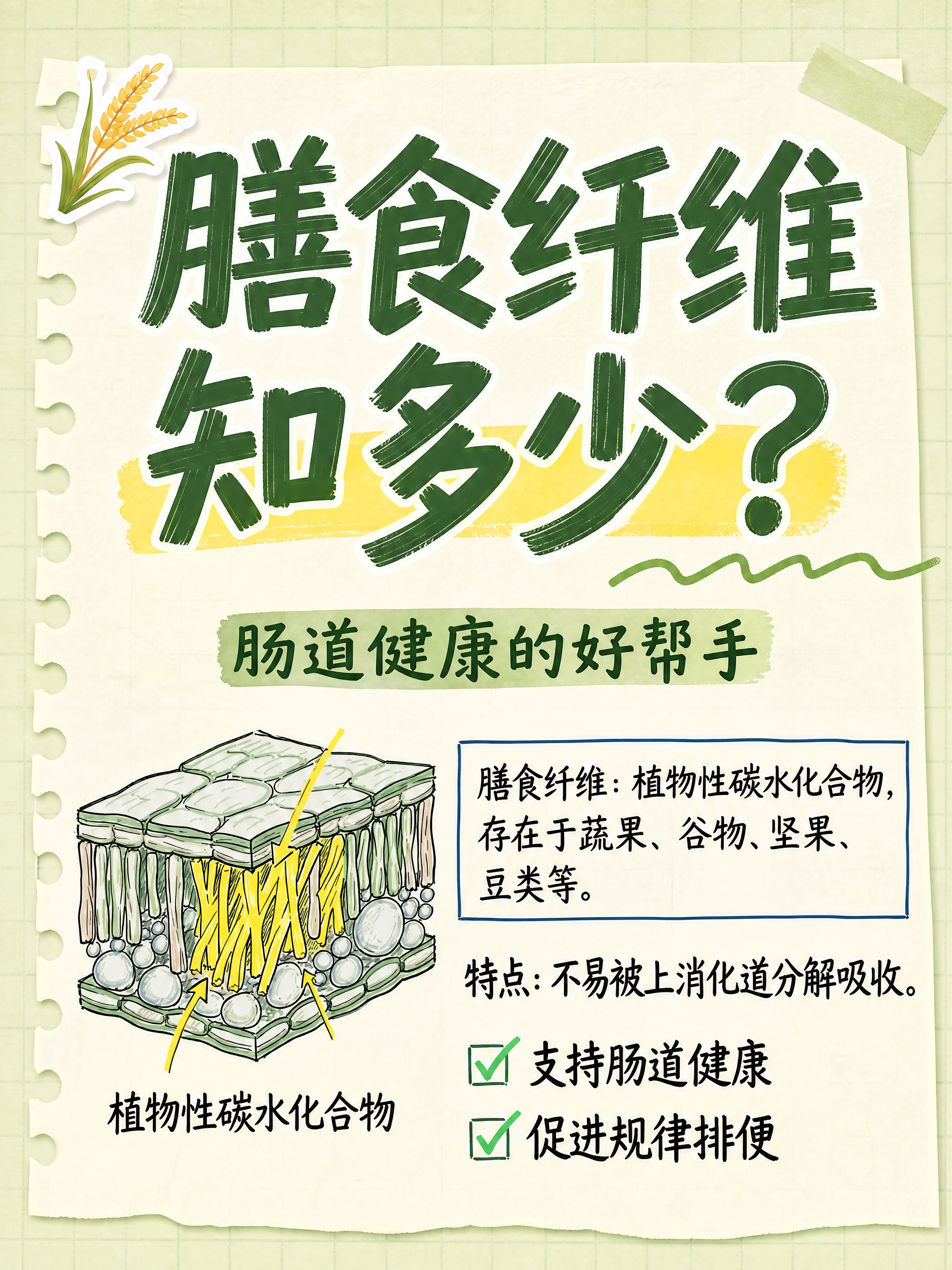 小红书笔记大字封面，配图大字，手账拼贴科普风，版式精美，小红书… - 图片创意预览