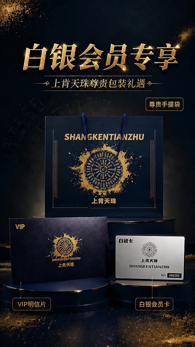 将主标题文字"金卡会员专享"修改为"白银会员专享"，同时将右下角原金卡替换为用户提供的新白银会员卡，1:1复刻白银会员卡的颜色、外形、文字细节，保持其余元素不变，保持整体深蓝金调高级风格，文字清晰无乱码