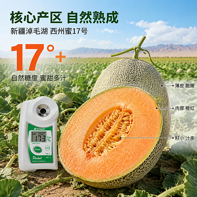 [主图-2] 西州蜜哈密瓜产地溯源与糖度亮点图，信任背书风。
[氛围风格] 新疆产地真实感，果园实景+数据可视化，理性可信；
[画质] 商业摄影质感、光线自然明亮、哈密瓜切面清晰、果肉纹理细腻、画面专业干净。
[元素] 画面中央偏右摆放一半切开的西州蜜哈密瓜，切面朝向观众，展示橙红色厚实果肉与中间淡黄色瓜瓤，果肉看起来脆嫩饱满有光泽，汁水充盈。完整哈密瓜在切开瓜后方作衬托，带新鲜瓜藤。背景是淖毛湖哈密瓜种植基地实景，成排的瓜田与远处的天山/戈壁轮廓清晰可见，蓝天白云，阳光明媚。旁边放一个小型糖度计测量器作道具，暗示糖度检测。**保持哈密瓜外观（外皮网纹、形状、颜色）与输入产品图绝对一致，切开后果肉为橙红色、厚实、中心有籽瓤，杜绝变形和色差**。商品主体（含切开瓜）占比约60%，画面满屏无边框。
[光影] 自然顶侧阳光为主光，明亮通透，切面果肉受光均匀呈现诱人橙红色泽，果肉表面有细微汁水高光；侧方补光柔化阴影，瓜体下方有柔和投影；整体光感充足，体现新疆日照优势。
[配色] 主色果肉橙红+瓜皮灰绿；辅色瓜叶绿、天蓝、阳光金；数据强调色用深橙红。
[视角构图] 45度俯视视角，切开的哈密瓜为视觉焦点，位于画面右中部；左半区与上方留作文案与数据展示区；前中后景分层，远景产地场景自然虚化。
[文字版式] 左上区域左对齐，主标题「核心产区 自然熟成」，深绿色大号粗体无衬线；下方辅助文案「新疆淖毛湖 西州蜜17号」，黑色中号。画面中部偏左位置有超大号数字「17°+」，橙红色加粗巨号字体，下方小字「自然糖度 蜜甜多汁」，深灰色小号。右侧用极细虚线从切开瓜的不同部位引出三个标注点：指向果皮处标「薄皮 脆嫩」，指向果肉处标「肉厚 橙红」，指向瓜瓤处标「籽小 汁多」，标注文字为深灰色小号无衬线，带小圆点引线。
[输出要求] 1:1比例，文字清晰锐利可辨，超高清商业摄影质感。
[负向提示词] 变形，文字错乱，哈密瓜模糊，背景杂乱，水印，电商平台Logo，人物，手部畸形。
