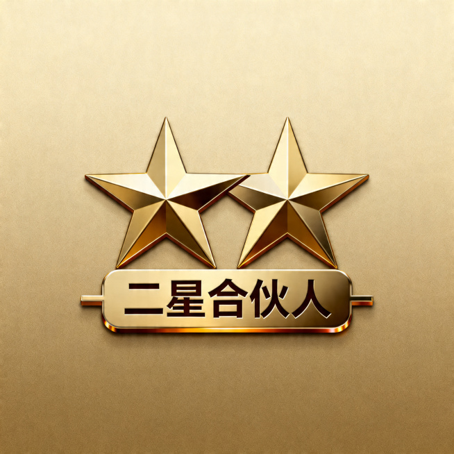二星合伙人礼品图标，设计精致高档的合伙人纪念礼品标识，整体简洁大气，突出二星合伙人身份预览效果