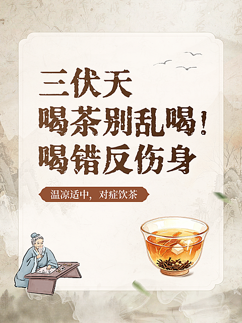 三伏天茶饮饮食知识科普古风简约小红书封面