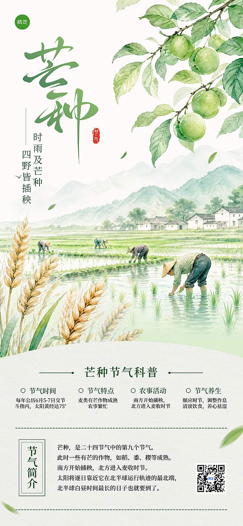 芒种知识节气科普水彩插画感手机通用全屏竖版海报