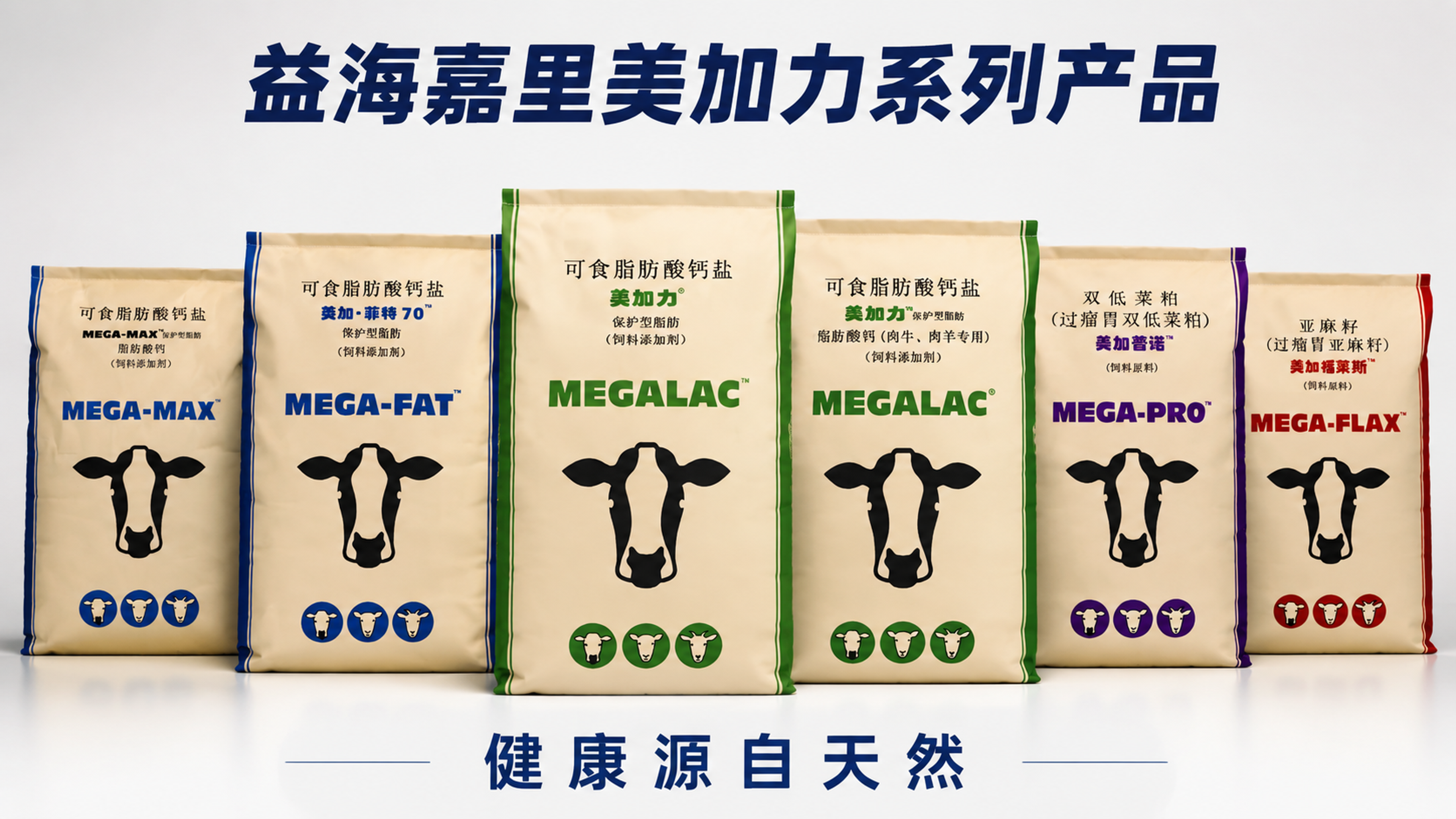 横版16:9高清产品展示图，画面中央并排摆放图片1（美加力ME… - 图片创意预览