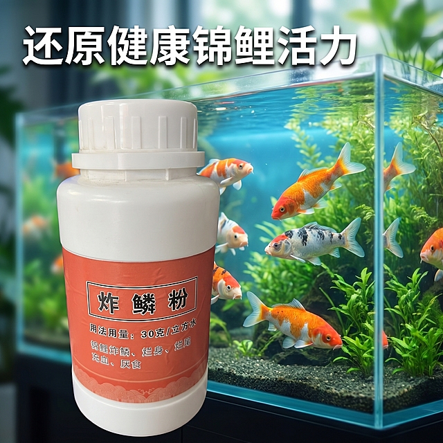 [主图 4] 真实场景效果展示
[氛围风格] 生活化水族场景，自然真实，增强信任感
[画质] 商业摄影质感、光线柔和通透、产品清晰真实、画面干净高级
[元素] 产品炸鳞粉瓶放置在水族缸外侧前景，背景是一缸清澈健康的锦鲤水族缸，锦鲤游动状态活力。保持产品外观（即物理结构、材质质感、颜色）与输入产品图绝对一致，杜绝任何变形和色差，精细化处理。商品主体占比约60%在前景清晰展示，背景锦鲤缸虚化突出主体。画面满屏无边框。
[光影] 自然水族缸散射光，产品光照均匀，背景柔和，整体清新通透
[配色] 背景绿色水草蓝色水，衬托产品红白瓶身，层次清晰
[视角构图] 平视前景后景构图，景深自然，前景清晰背景虚化
[文字版式] 左上角放置主标题 "还原健康锦鲤活力"，白色粗字带轻微弥散投影，不遮挡产品主体，和背景对比清晰
[比例分辨率] 1:1 比例，2k 分辨率；文字清晰锐利，超高清
[负向提示词] 变形，水印，文字错乱，产品图模糊，背景杂乱，锦鲤模糊遮挡产品
