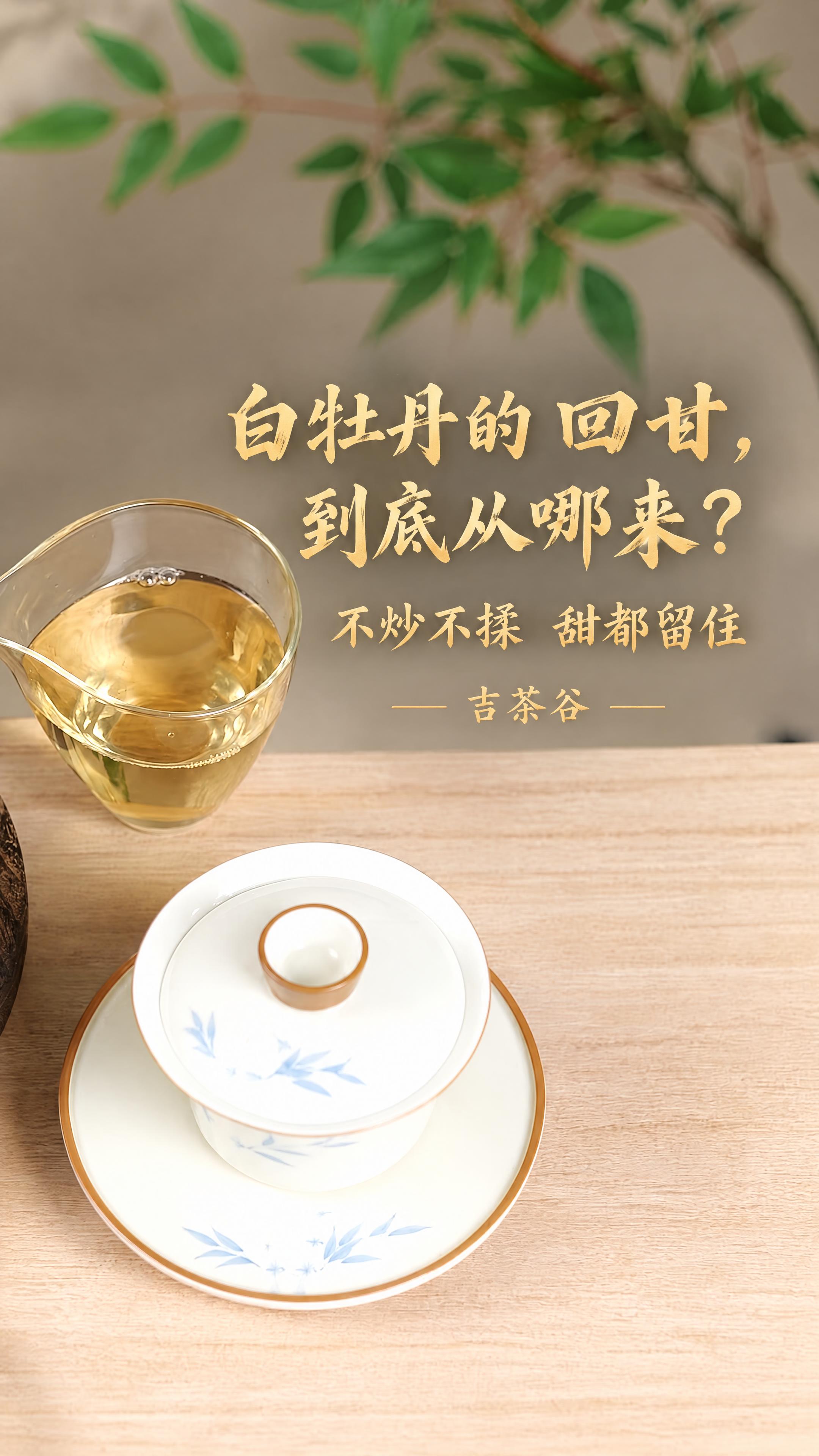 基于这张茶文化图片进行修改，保持背景完全原样不变，适配抖音短视… - 图片创意预览