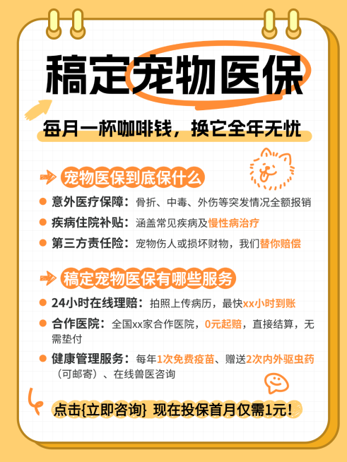 宠物医疗保险产品介绍手帐风小红书封图预览效果