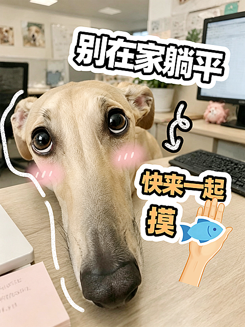 办公室搞怪狗狗躺平摸鱼招聘小红书封面