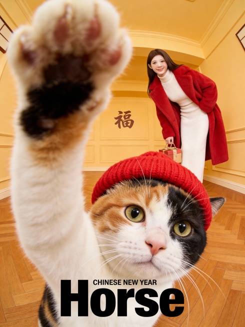 画面底部正中央排版着黑色的粗体小写英文单词“Horse”，字体风格复古且具有设计感，其上方紧随极其微小的无衬线英文“CHINESE NEW YEAR”。画面采用极具冲击力的超广角鱼眼镜头“自拍”视角。预览效果