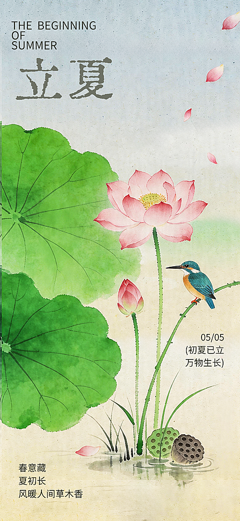 立夏节气东方美学水墨荷花翠鸟全屏竖版海报