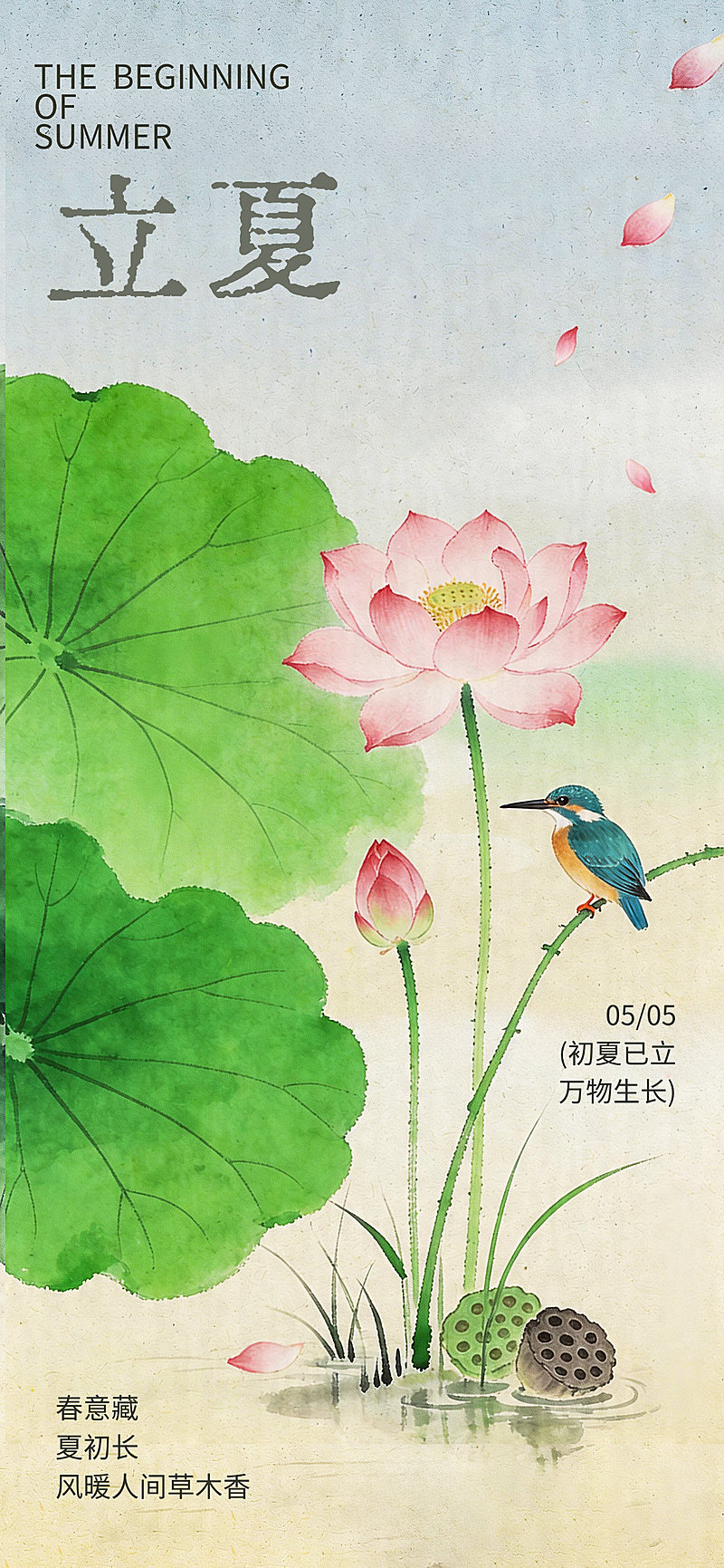 立夏节气东方美学水墨荷花翠鸟全屏竖版海报