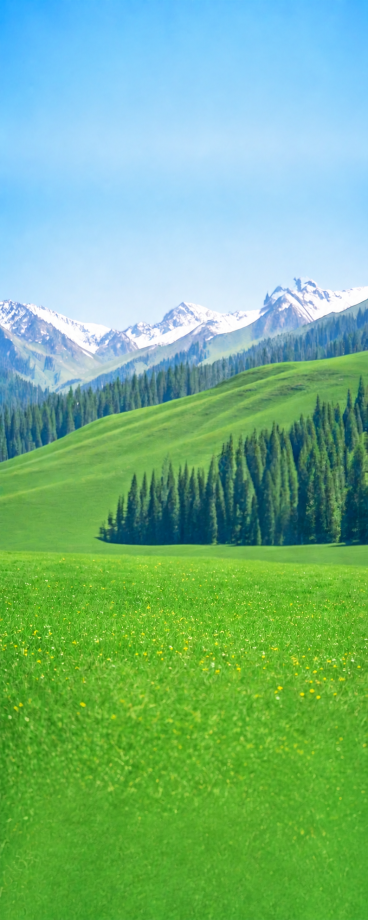 去掉图片上的马，保留完整的草原山脉森林风景，补全自然草地背景，保持画面风格一致预览效果