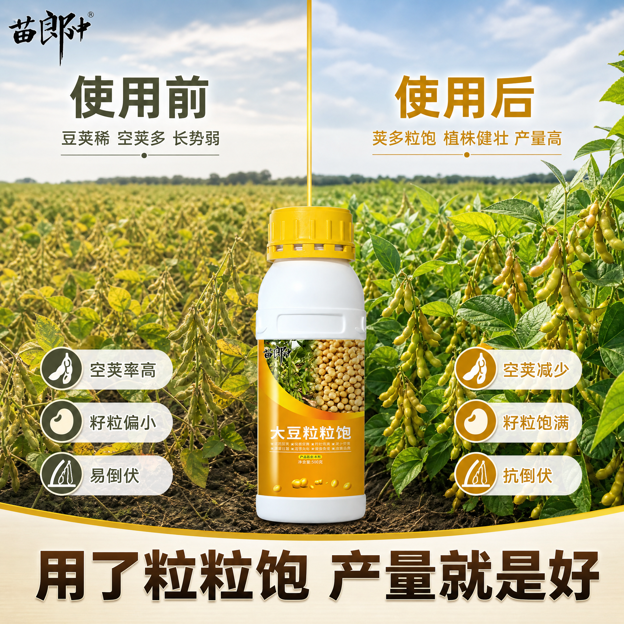 [主图-3] 大豆粒粒饱使用前后效果对比，真实增产证明。 [氛… - 图片创意预览